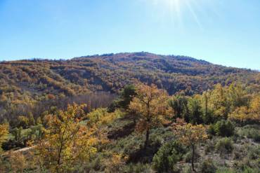 Romancos CanterasTalleres 1