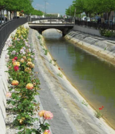 canal del henares marchamalo