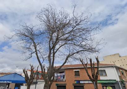 poda avenida Alcalá2 1