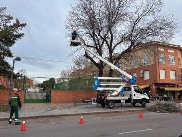 poda avenida Alcalá 1