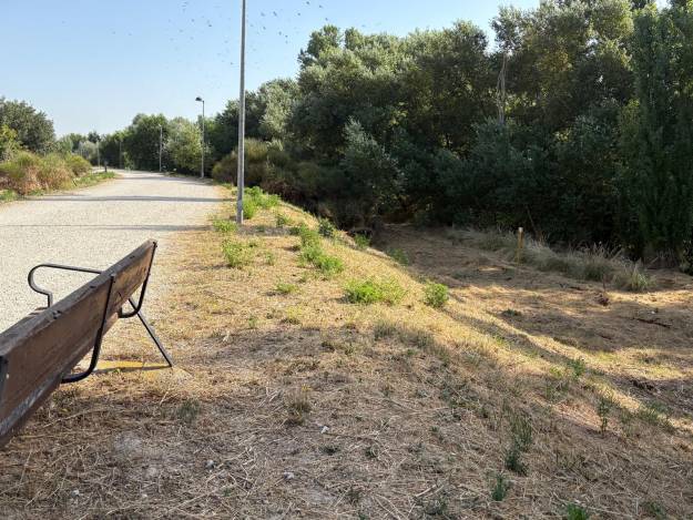 desbroce mota rio henares