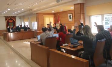 Cabanillas PLENO 27 MARZO 2025 3