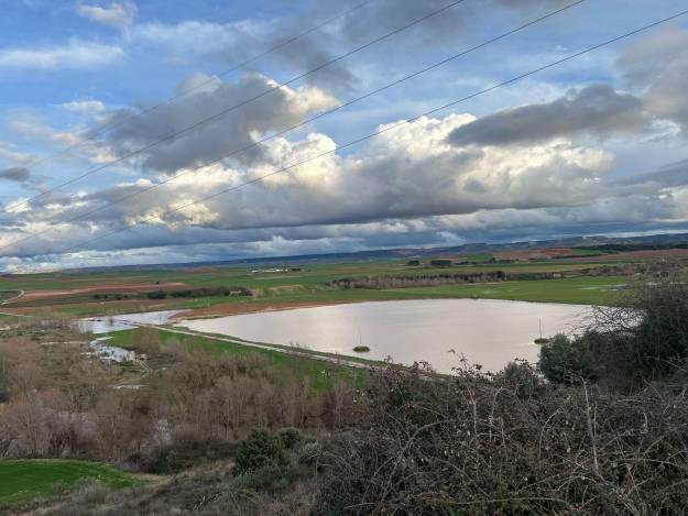inundaciones marzo 2025 agricultura apag 1