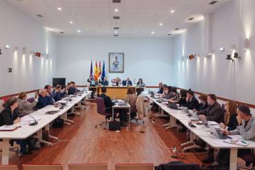 Votación pleno marzo 2026 1