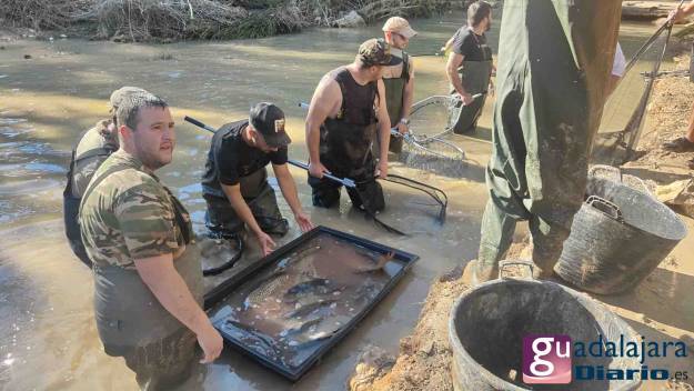 Canal Entrepeñas - Buendía rescate carpas 12