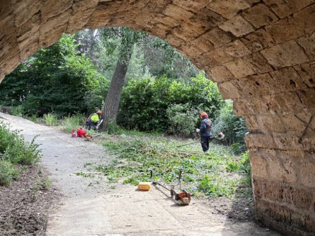 limpieza río Henares