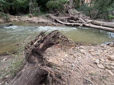 limpieza río Henares 2