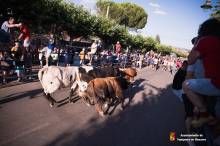 Encierros yunquera