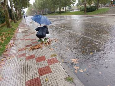 alcantarilla atrampada chopera inundaciones