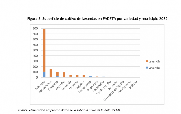 cultivo lavanda 2022 fadeta