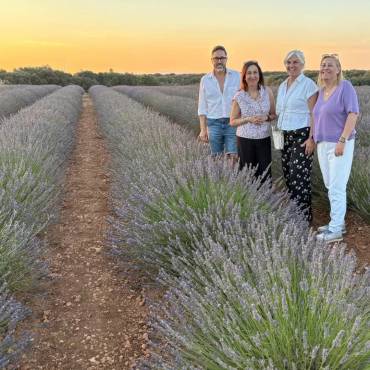 margarita robles brihuega