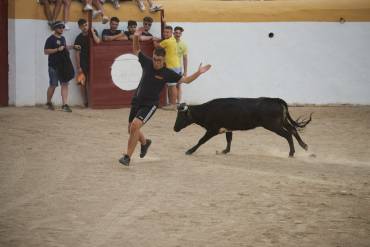 Fiestas Pastrana archivo vaquillas