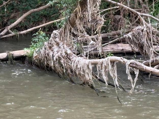 rio henares limpieza incompleta 3 20250812