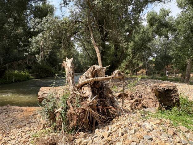 rio henares limpieza incompleta 8 20250812