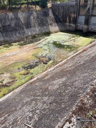 suciedad travase entrepenas buendia  2 ayto sacedon 20250812