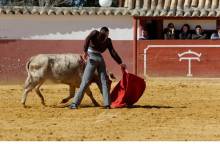 escuela taurina guadalajara