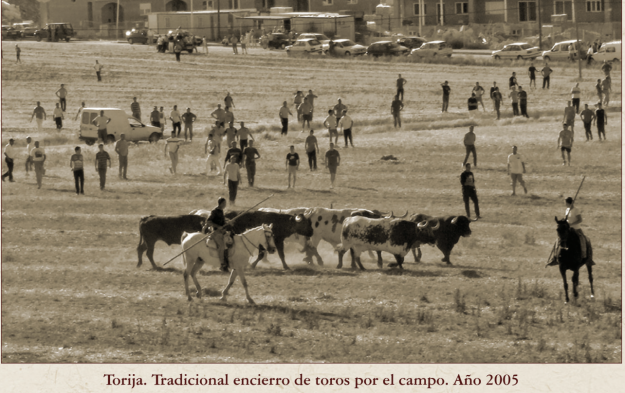 torija encierro por el campo 2005 ayto torija