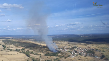 incendio en torremocha del campo infocam
