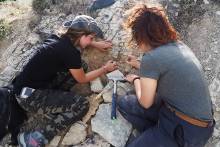 jornadas paleontologicas 1 siguenza