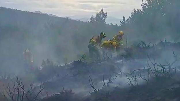 Incendio Pico del Lobo Infocam 24