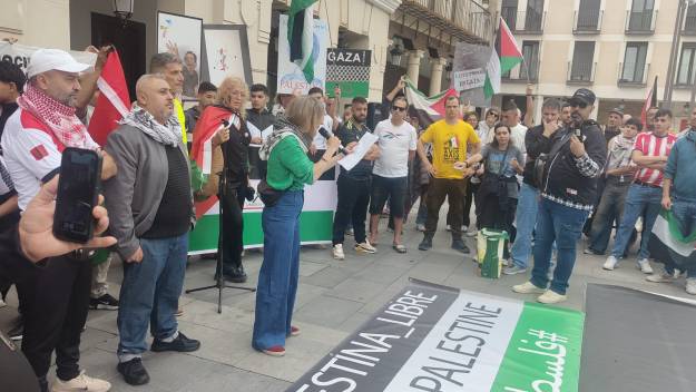 Palestina Manifestación 12