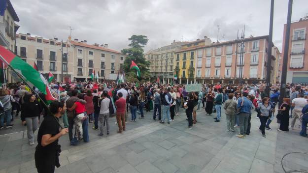 Palestina Manifestación 13