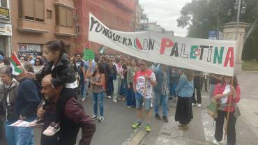 Palestina Manifestación 6