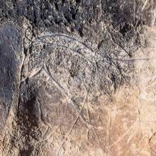 cueva de los casares jccm