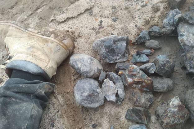 Universidad de Alcalá Ámbar mesozóico