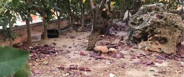 Guadalajara sucia limpieza Foto Mariano García de Blas 4