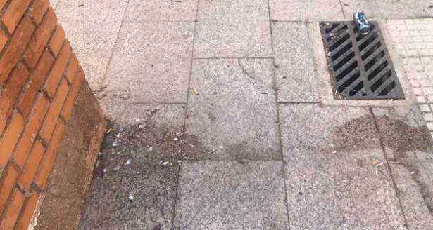 Guadalajara sucia limpieza Foto Mariano García de Blas 7