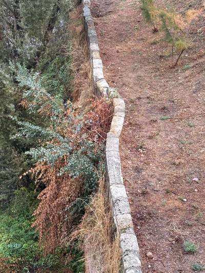 barbacana Henares 20251029