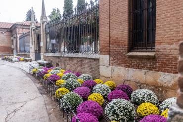 cementerio guadalajara entrada ayto gu
