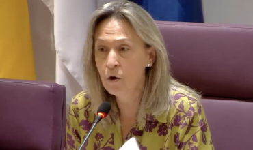 guarinos pleno octubre 1