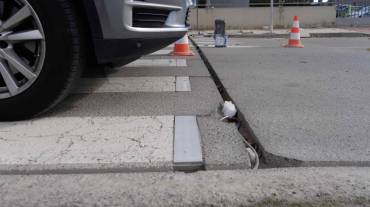 Alovera paso de cebra led 2