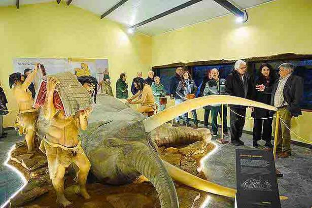 Tamajón CIPAT mamut prehistoria 2