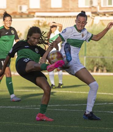 El Dinamo reinicia la competición ante el Elche en Altabix Foto Dinamo Giadalajara