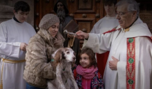 san anton guadalajara