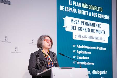 mercedes gomez conejos