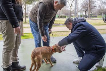 Marchamalo perros Presentación ADN Canino 7