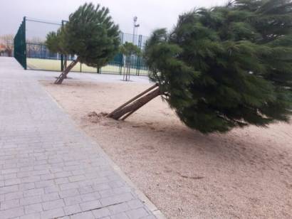 WhatsApp Image 2026-02-06 at 12.38.59 1