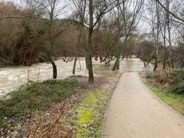 paseos inundados rio Henares febrero 2026 luis barra
