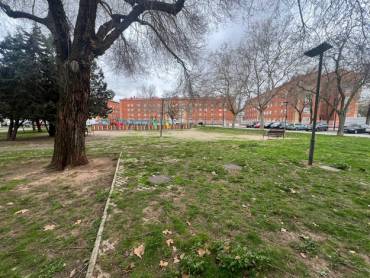 Césped en el parque del barrio. Foto: Grupo Popular. Economato 1