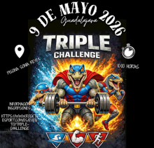 cartel Triple Challenge 1 1