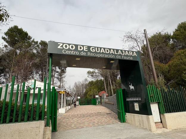 zoo guadalajara entrada GD