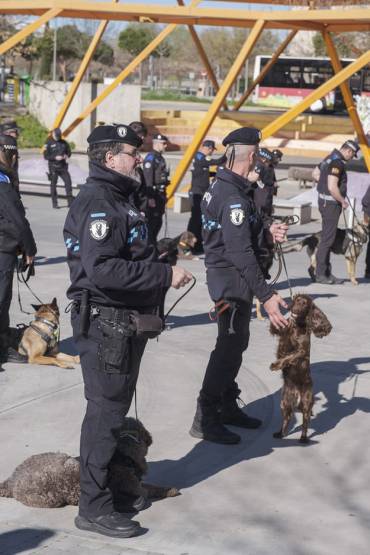 Perros unidad canina azuqueca