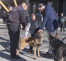 Perros unidad canina azuqueca 3 1