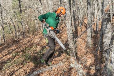 Proyecto Silvoconecta