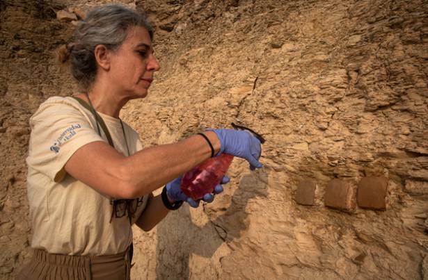 Universidad de Alcalá Egipto 11