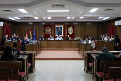 pleno 29 enero 2026 1